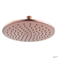 Hoofddouche Wiesbaden Caral Rond 25 Cm Antikalk Geborsteld Koper